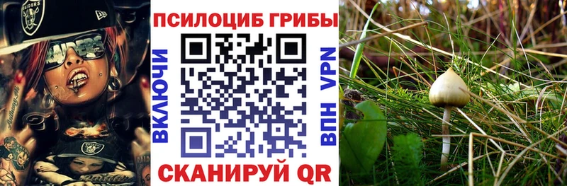 Галлюциногенные грибы GOLDEN TEACHER  Купить  Алагир 