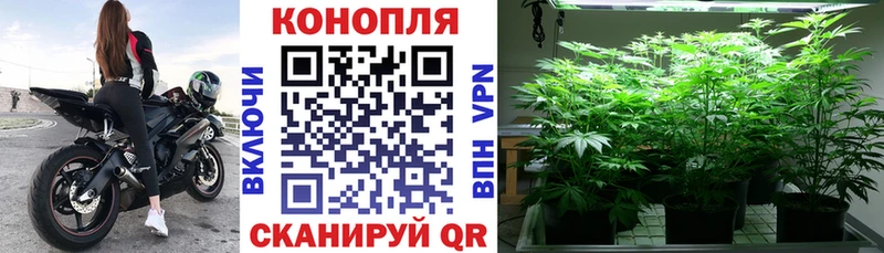 Купить закладки  Алагир  Бошки Шишки Ganja 